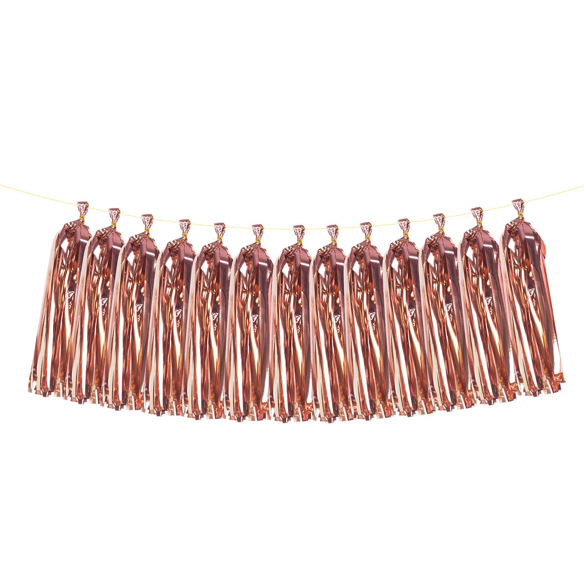 Rose Gold Tassel Banner